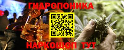 гашик Гусев