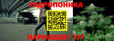 гашик Гусев
