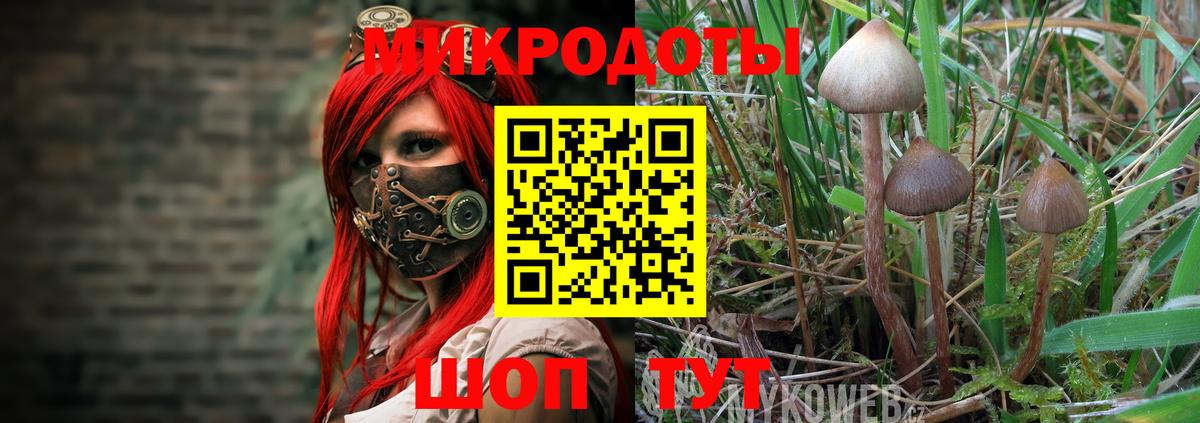 Псилоцибиновые грибы ЛСД Новокубанск